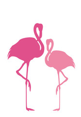 Naklejka premium 2 Flamingos