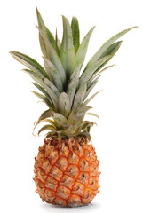 Fototapeta premium Pineapple ananas fruit