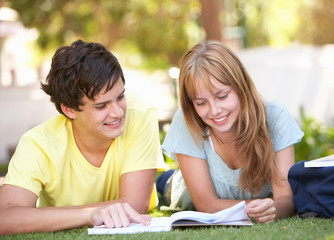 Teenage Student Couple Studying In Park