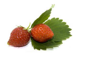 fraises du jardin