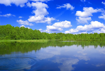 Obraz na płótnie Canvas Lake nad forest.