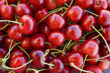 cherry background
