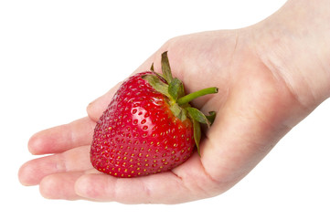 Obraz premium Strawberry in the hand