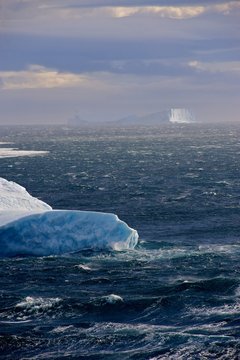 Antarctic Sound  Antarctic Peninsular