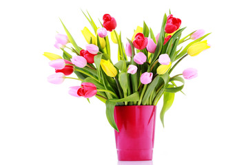 bunch of tulips