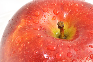 Macro de manzana.