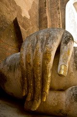 Hand of buddha