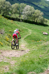 VTT en Auvergne