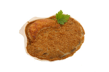 coquille saint jacques
