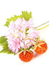 Fresh and tasty strawberries and pink flower