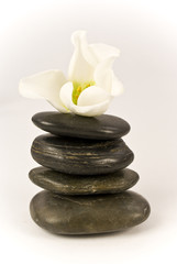 Obraz na płótnie Canvas Zen stones and flower