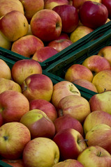 Apples