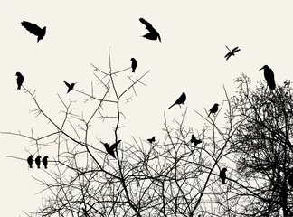 Papier Peint photo Oiseaux sur arbre arbre