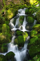 rivière de montagne