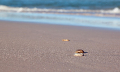 Pebbles on a beach with the southern ocean in the background