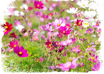 Forest of flowers isolated on white