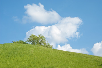 Sunny Hill