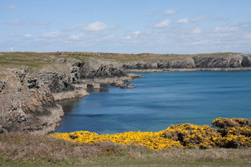 Obraz premium Anglesey coastline