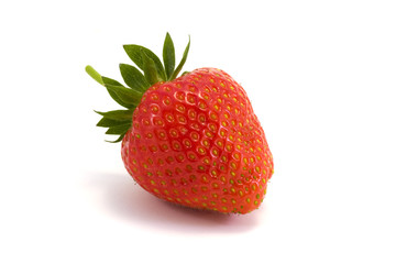 single strawberry over white