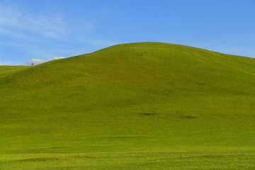 Fototapeta na wymiar lonely hill
