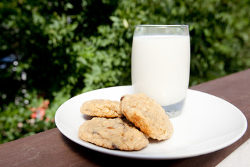 Milk and Cookies