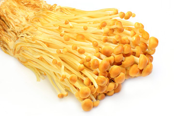 brown enoki