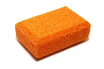 sponge isolated