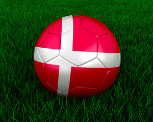 Fototapeta na wymiar Danish soccer ball