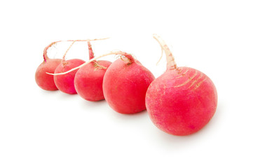 radish