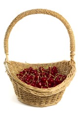 Fototapeta na wymiar Basket of freshly picked cherries