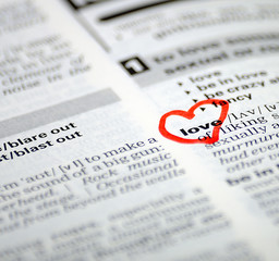Fototapeta premium word selection in the dictionary