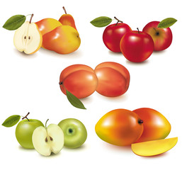 Vector. Pears, apples, peaches and mango.