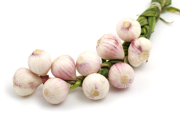 bunch of garlic isolated on white background