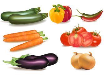 The big colorful group of ripe vegetables. Vector.
