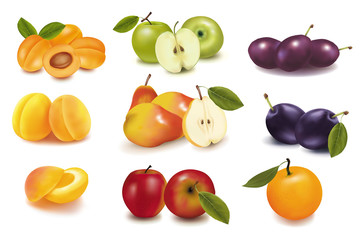 Photo-realistic vector illustration. Big group of fruit.