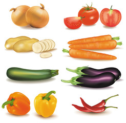 The big colorful group of vegetables. Photo-realistic vector.