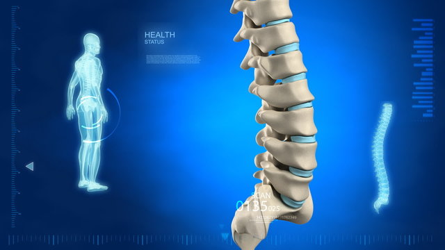 Human spine monitoring in loop