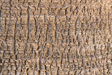 textura madera 3