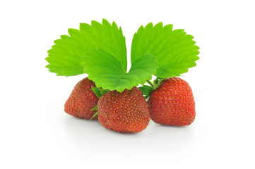 Strawberry with leafs