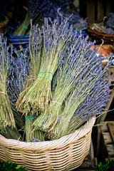 Dry Lavender Bunches