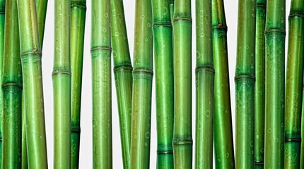 Crédence de cuisine en verre imprimé Bambou fond de bambou