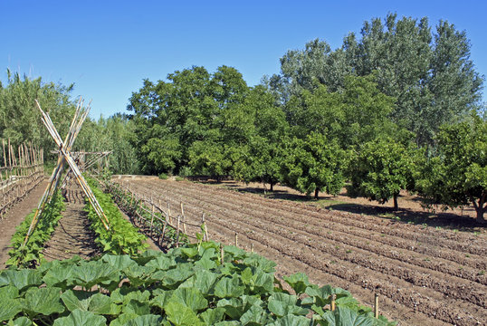 huerta