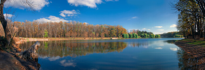 Forest reflection panorama