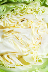 ripe chopped cabbage on a white background