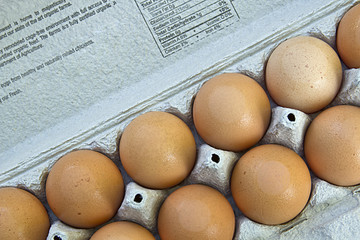 Organic Brown Eggs 3