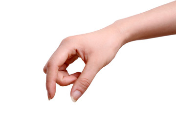 Female hands on a white background .