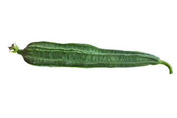 towel gourd isolation object