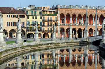 Naklejka premium padova 73