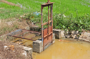 water gate and paddy field