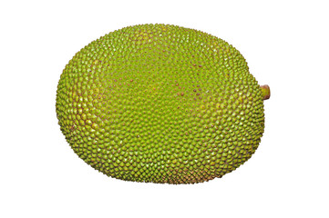 jack fruit